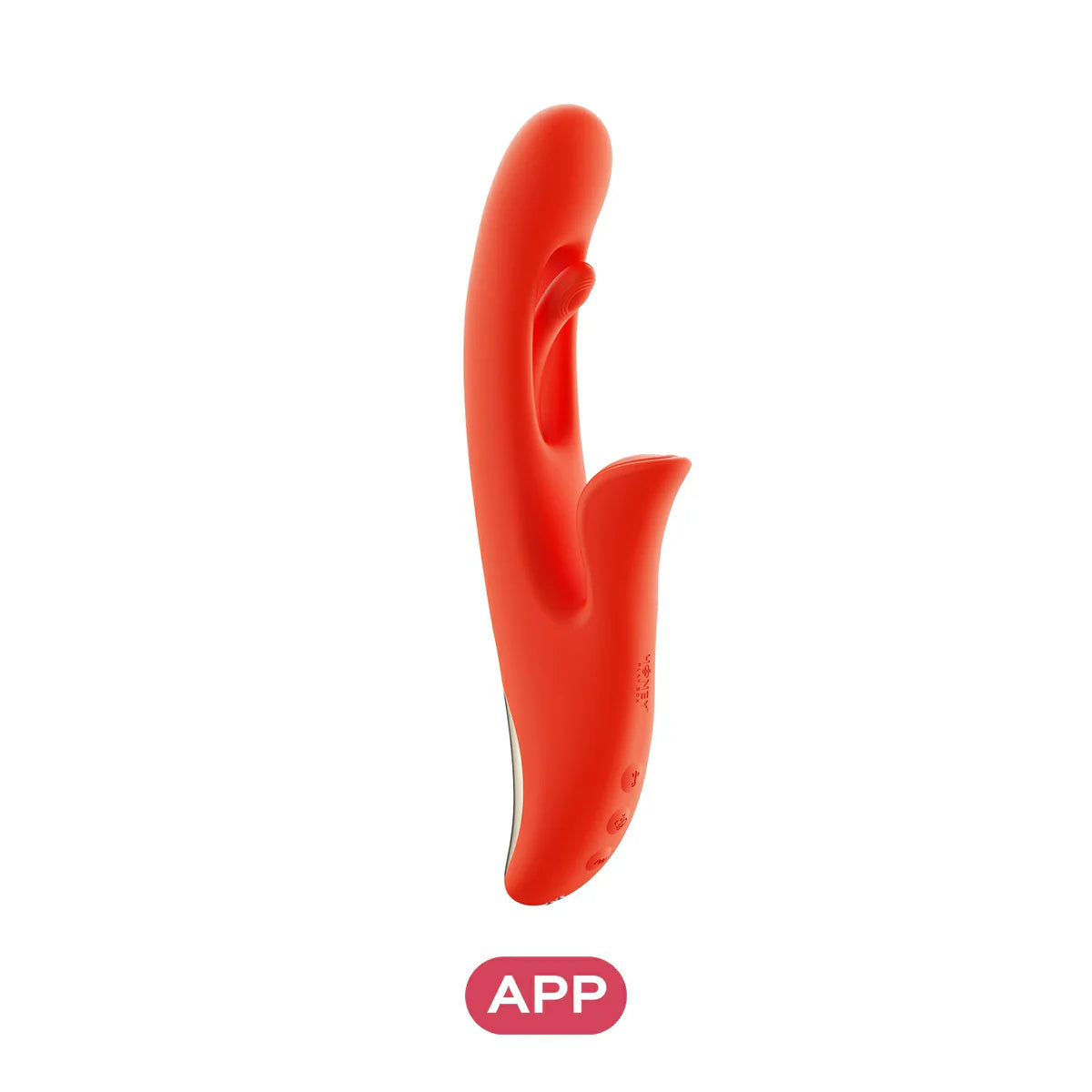 terri sex toy HONEY PLAY BOX TERRI RABBIT PURP - Deja Vu Love Boutique main image 1