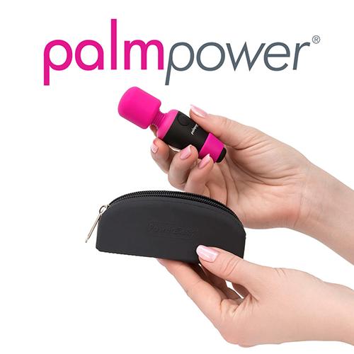 PalmPower