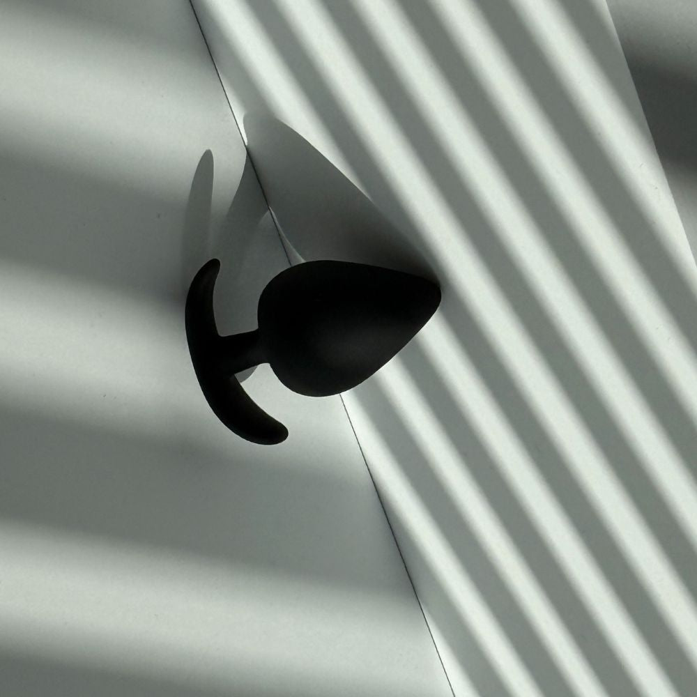 Beginner to Advanced Anal Plug Set