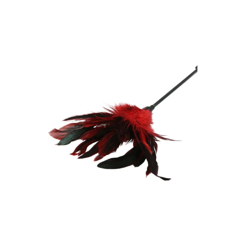 Sex &amp; Mischief Feather Slapper