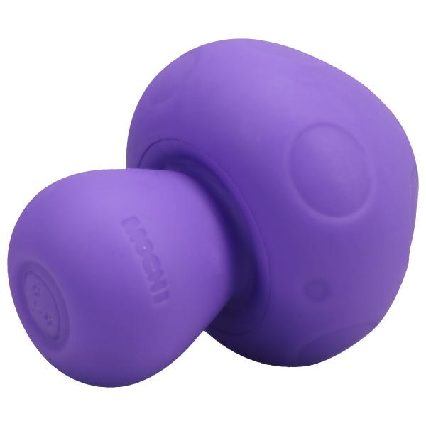 Mochi Mini Mushroom Vibe