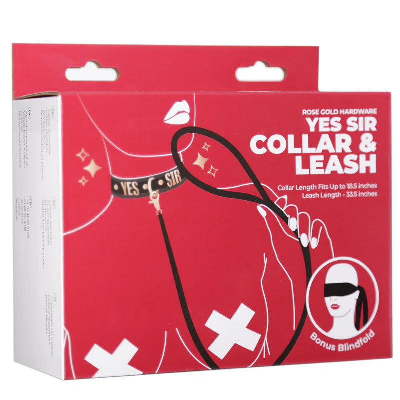 Punishment Rose Gold Yes Sir Collar & Leash