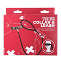 Punishment Rose Gold Yes Sir Collar & Leash