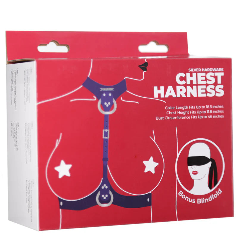 Punishment Silver Body Harness