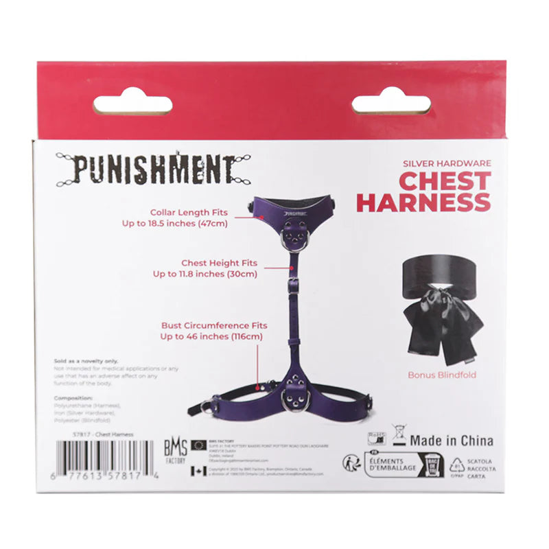 Punishment Silver Body Harness