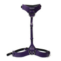 Punishment Silver Body Harness
