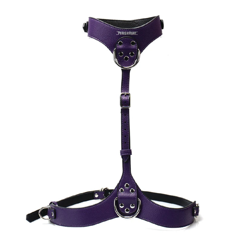 Punishment Silver Body Harness