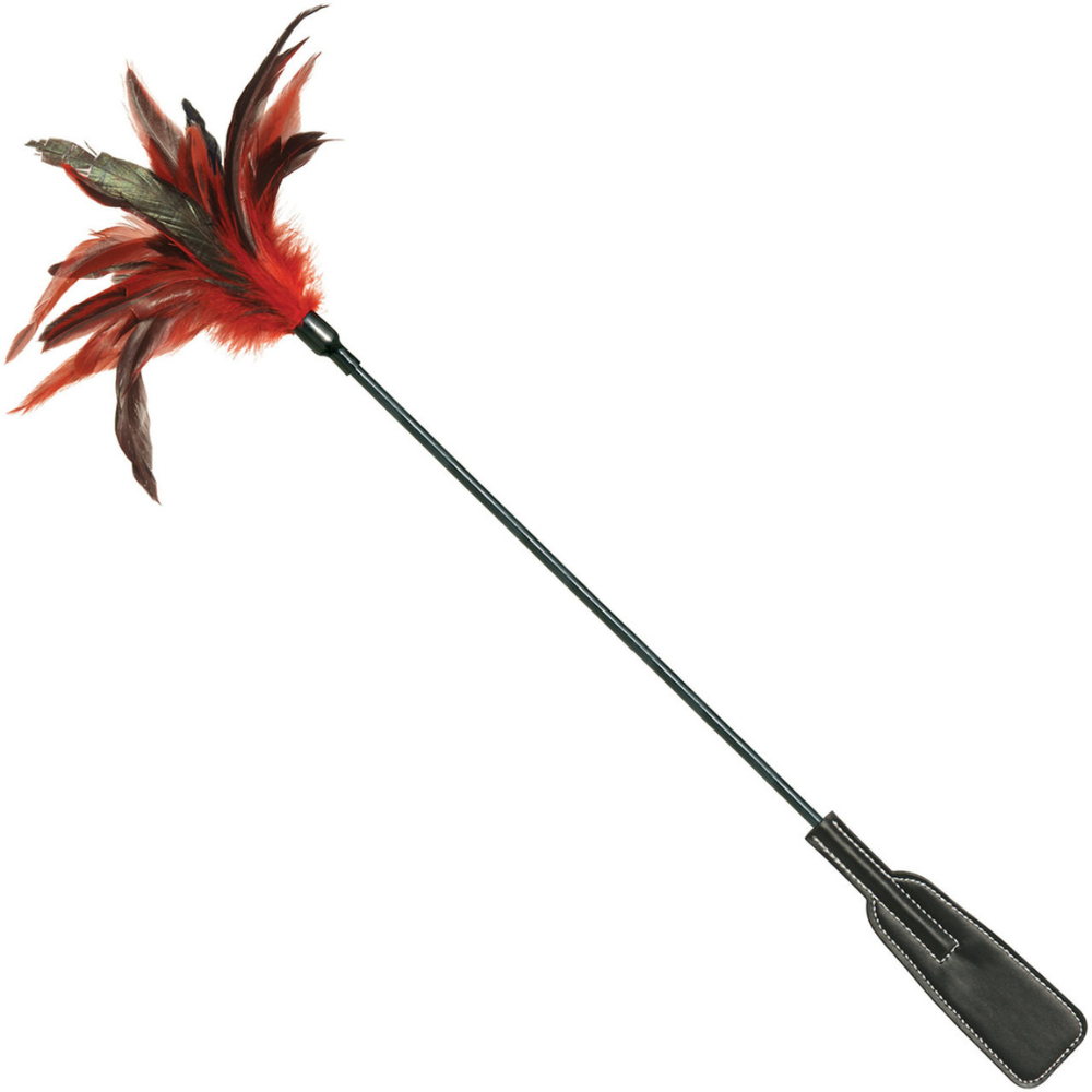 Sex &amp; Mischief Feather Slapper