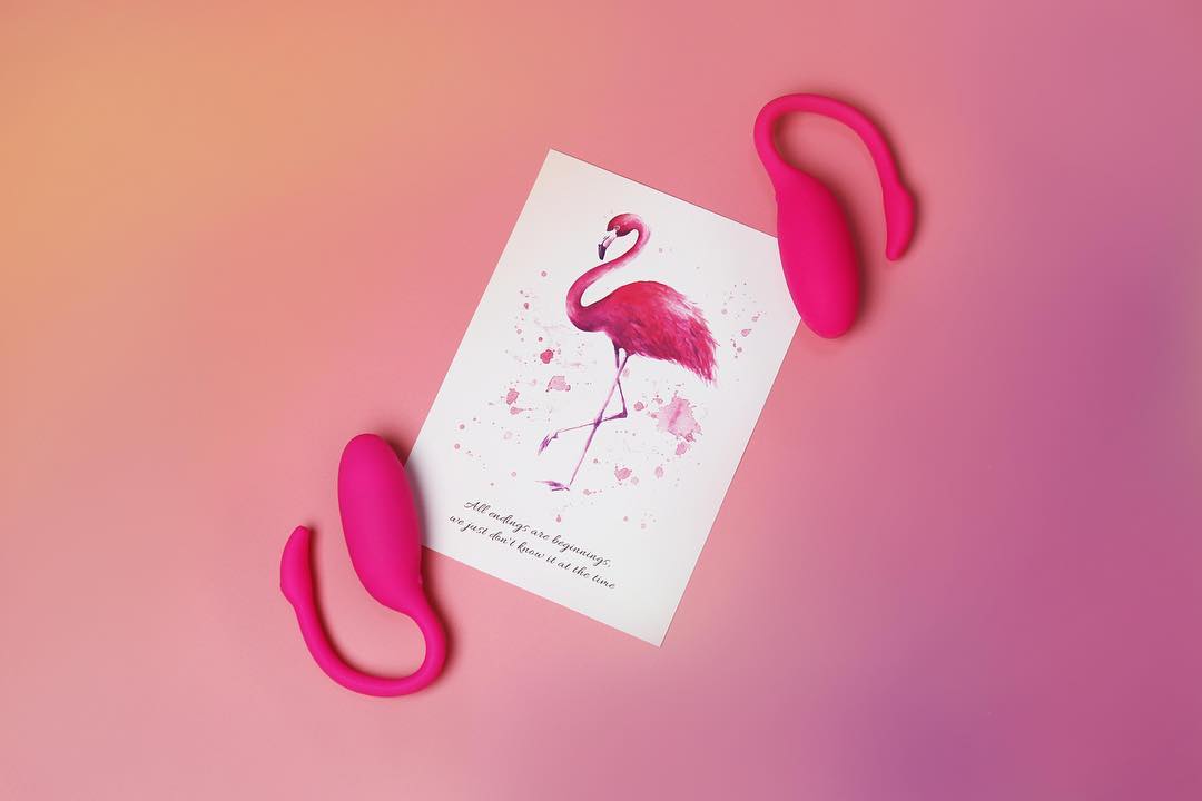Flamingo Magic Motion App Controlled Wearable Vibrator - Pink - Thorn & Feather