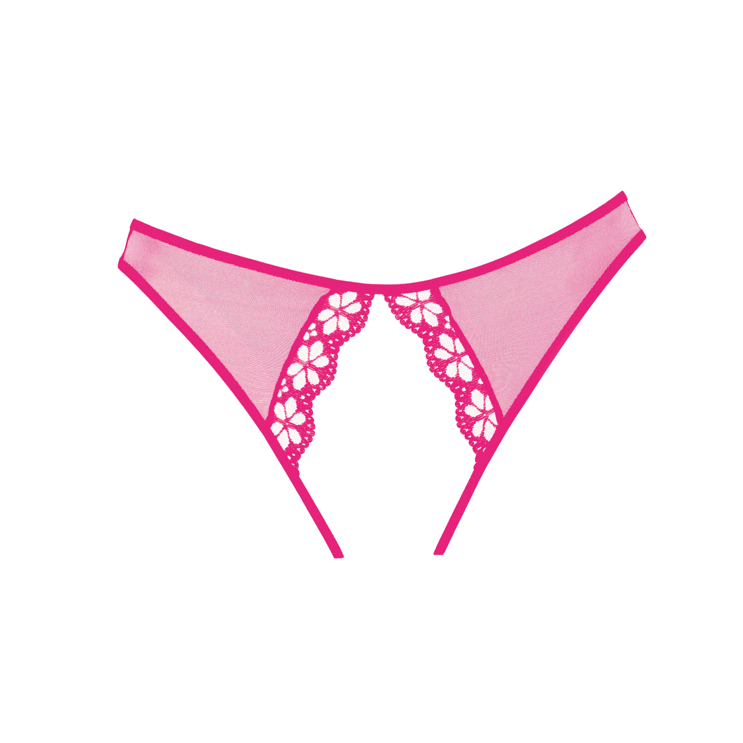 Culotte Mirabelle Prune