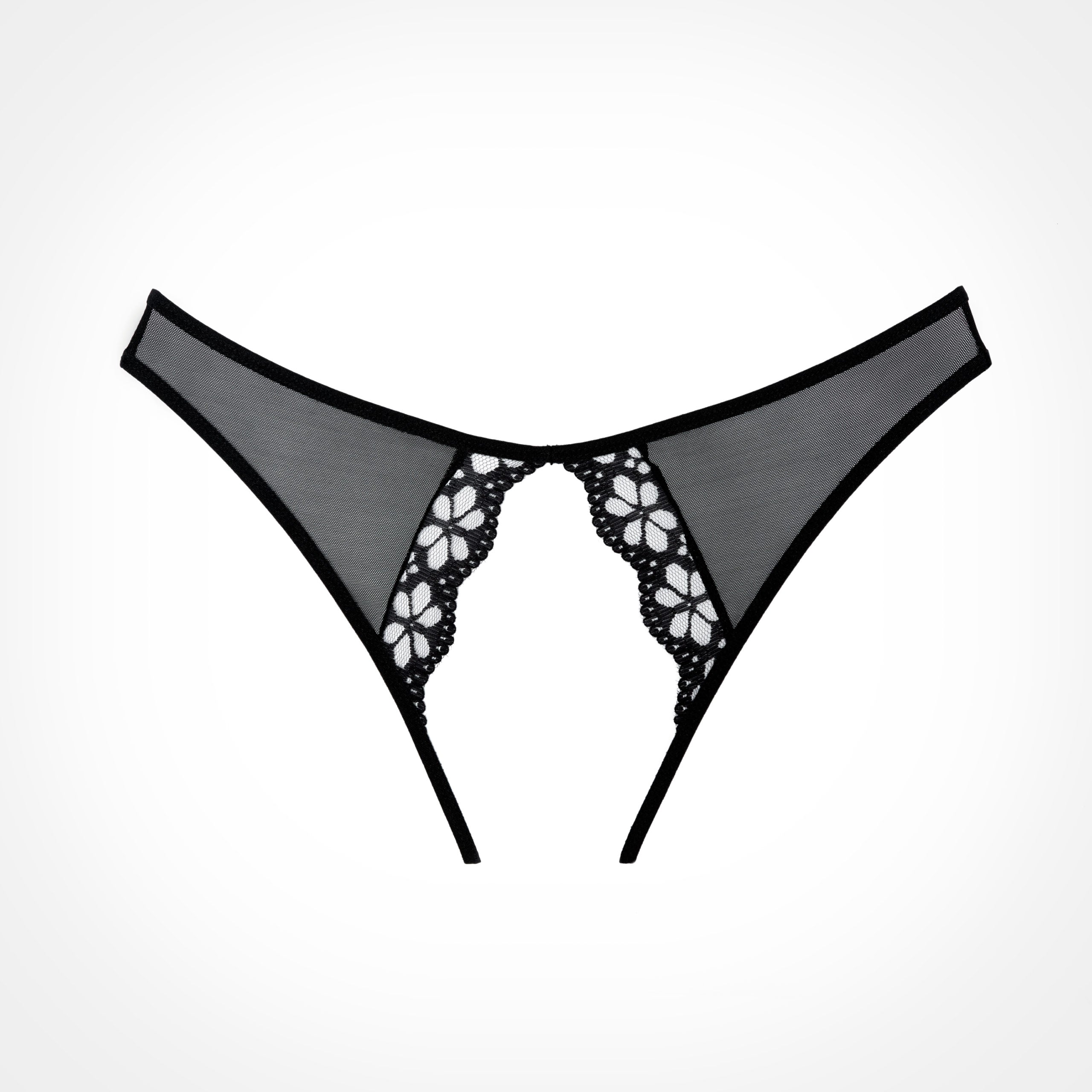 Culotte Mirabelle Prune