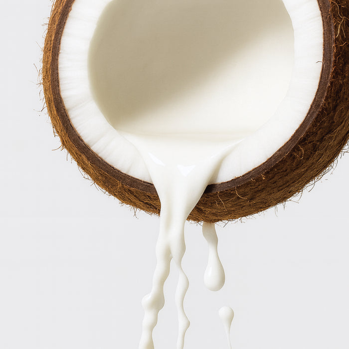 System JO Coconut Hybrid Original Lubricant