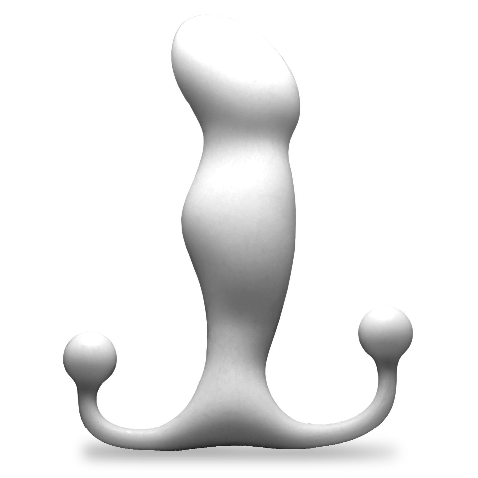 Aneros Progasm Large Prostate Massager