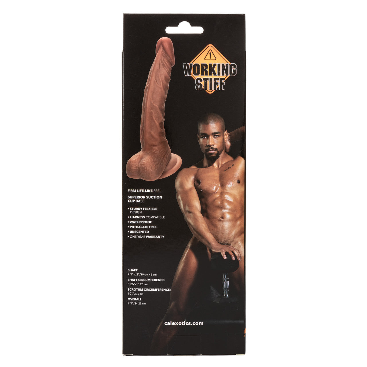 Working Stiff The Personal Trainer Dildo