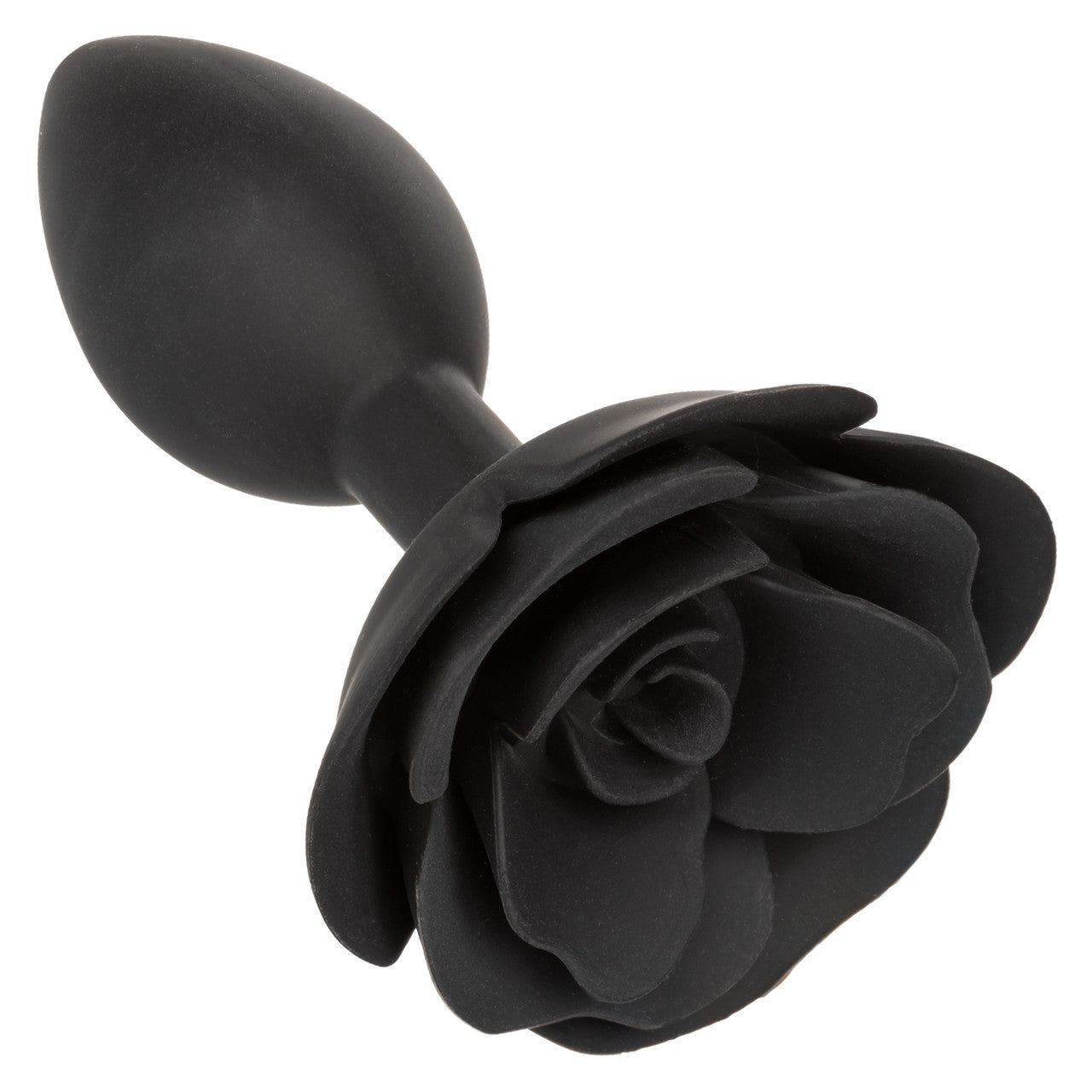 Forbidden Grand plug anal Rose
