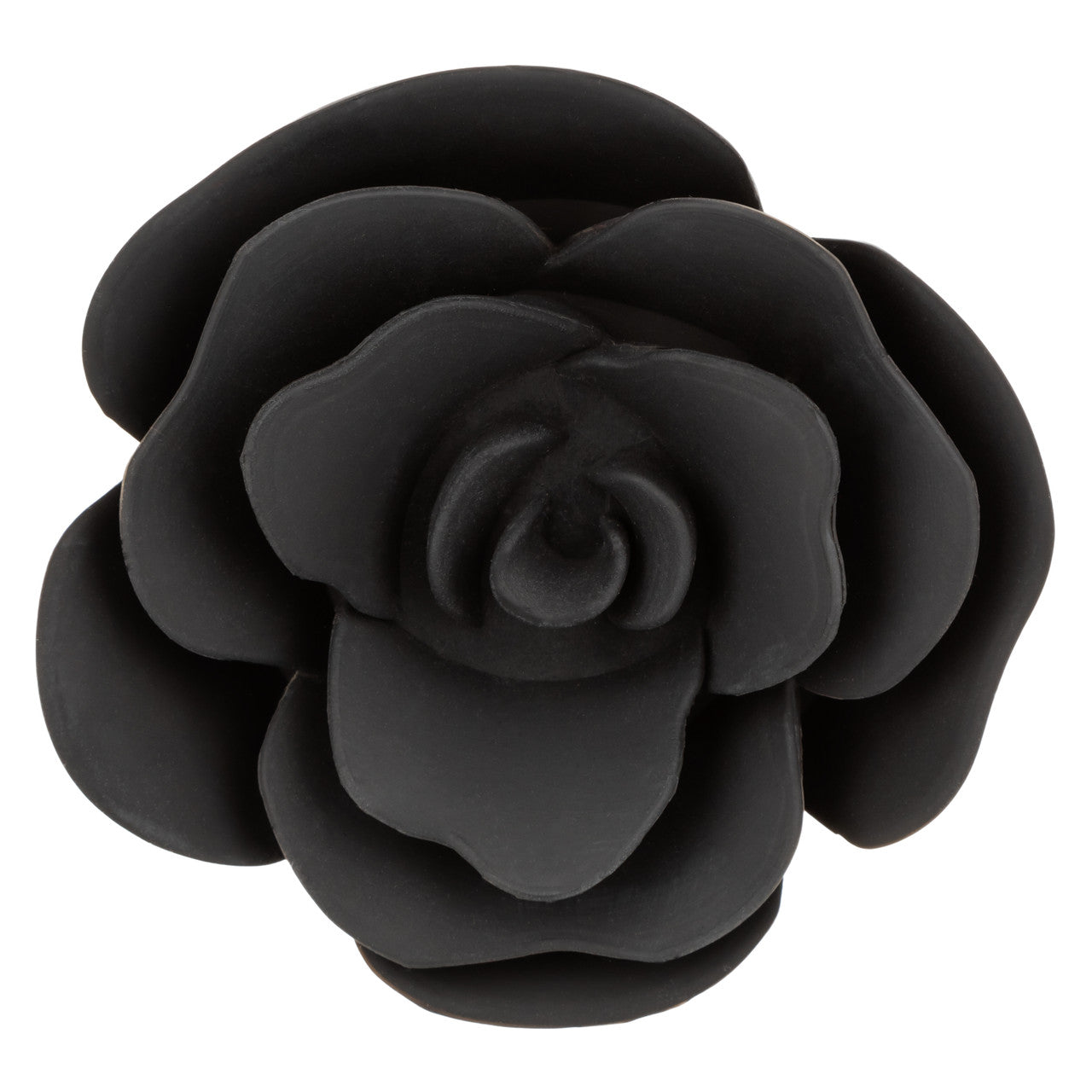 Forbidden Grand plug anal Rose