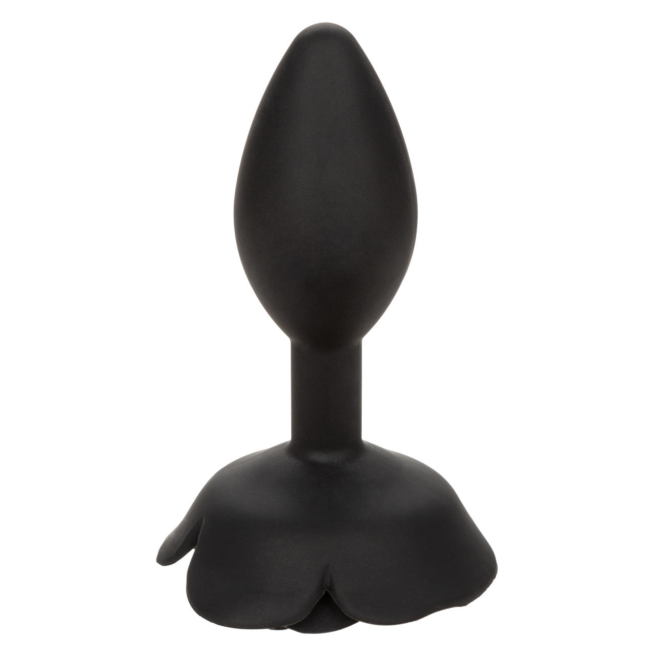 Forbidden Grand plug anal Rose