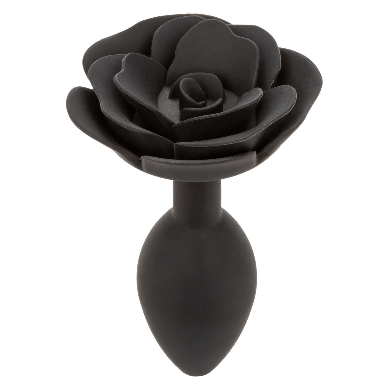 Forbidden Grand plug anal Rose
