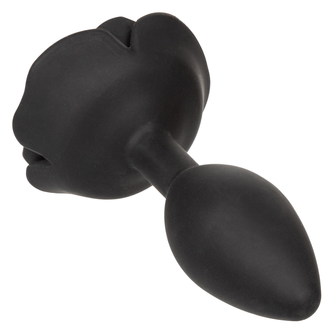 Forbidden Grand plug anal Rose