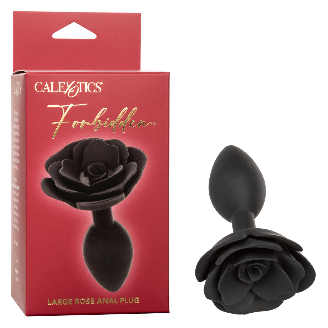 Forbidden Grand plug anal Rose