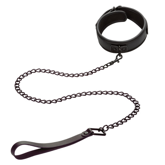 CalExotics Nocturnal Collection Collar & Leash