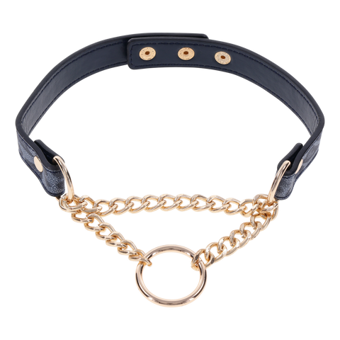 Cougar Day Collar