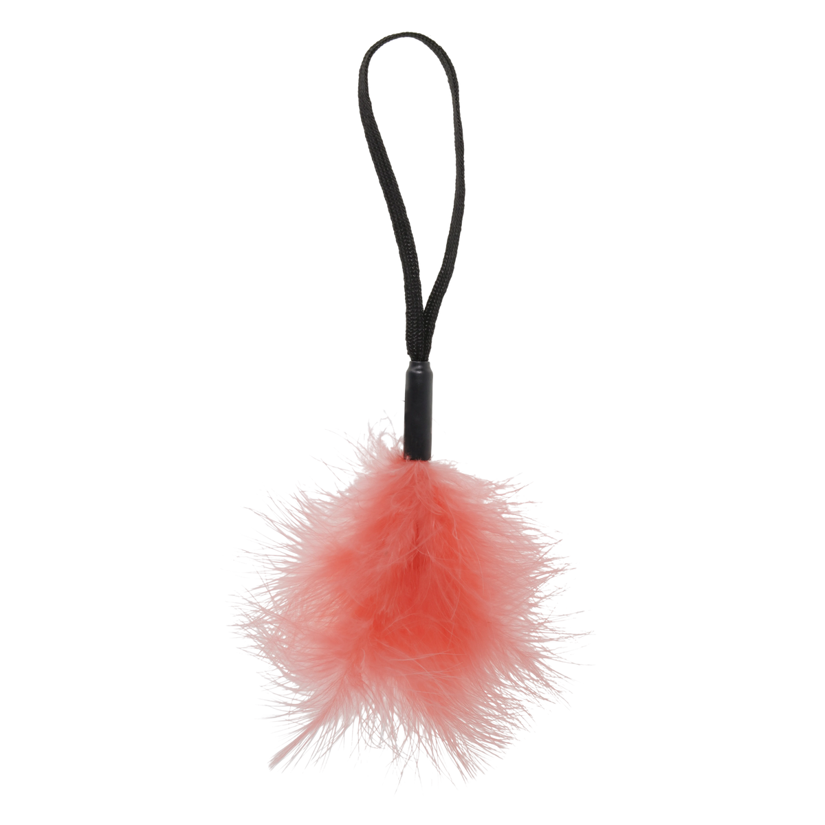 Pétale de pêche à picots pour chat