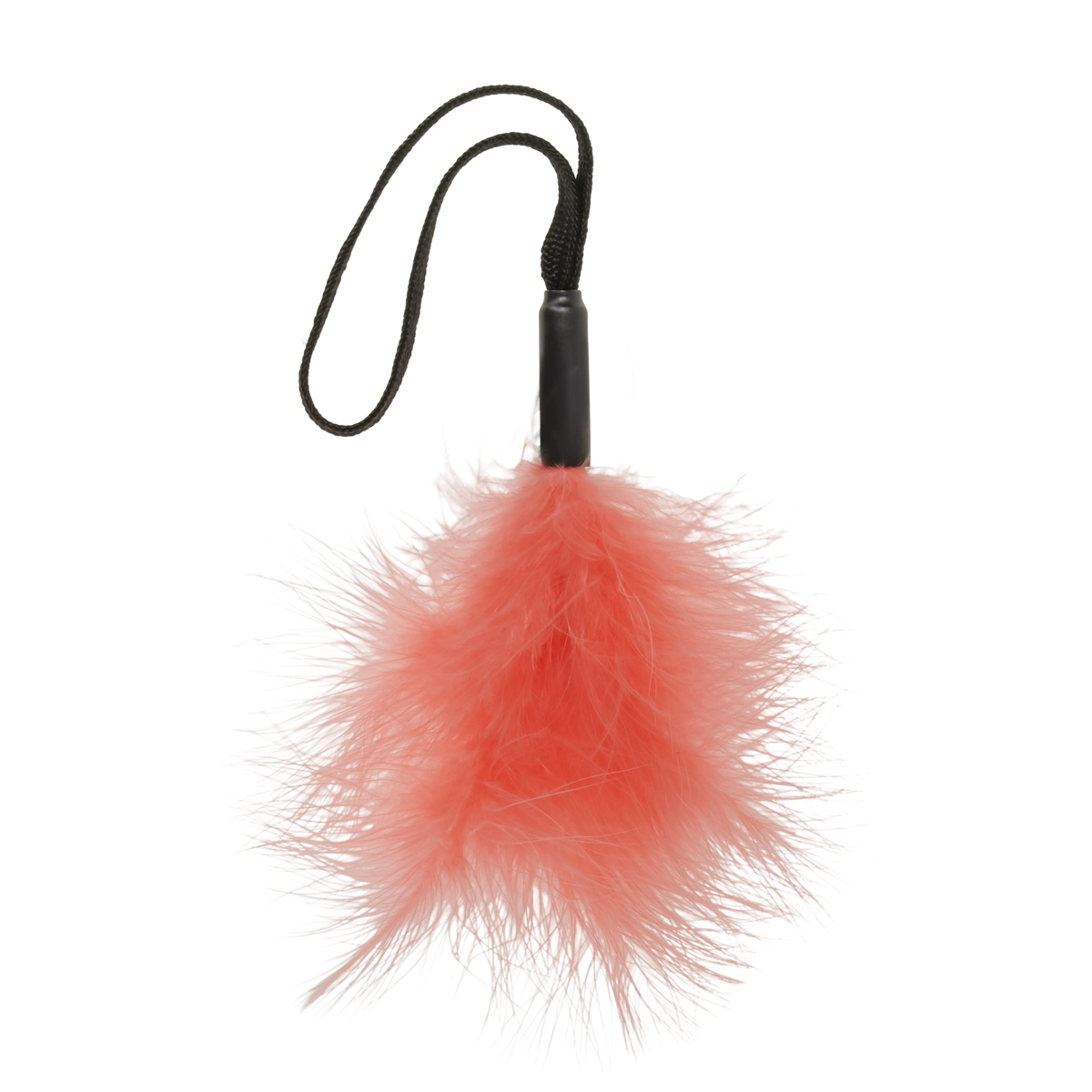 Pétale de pêche à picots pour chat