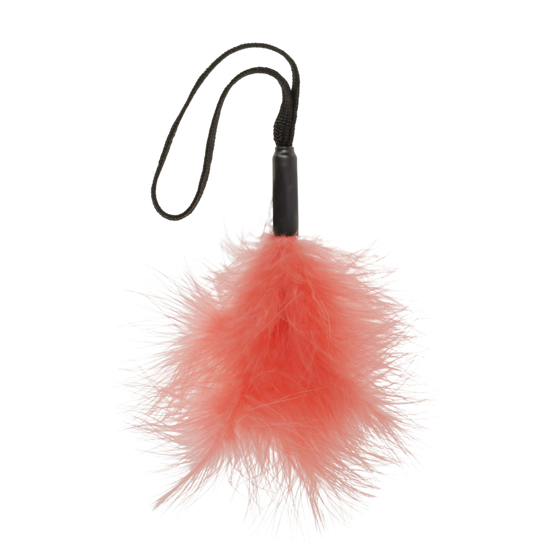 Pétale de pêche à picots pour chat