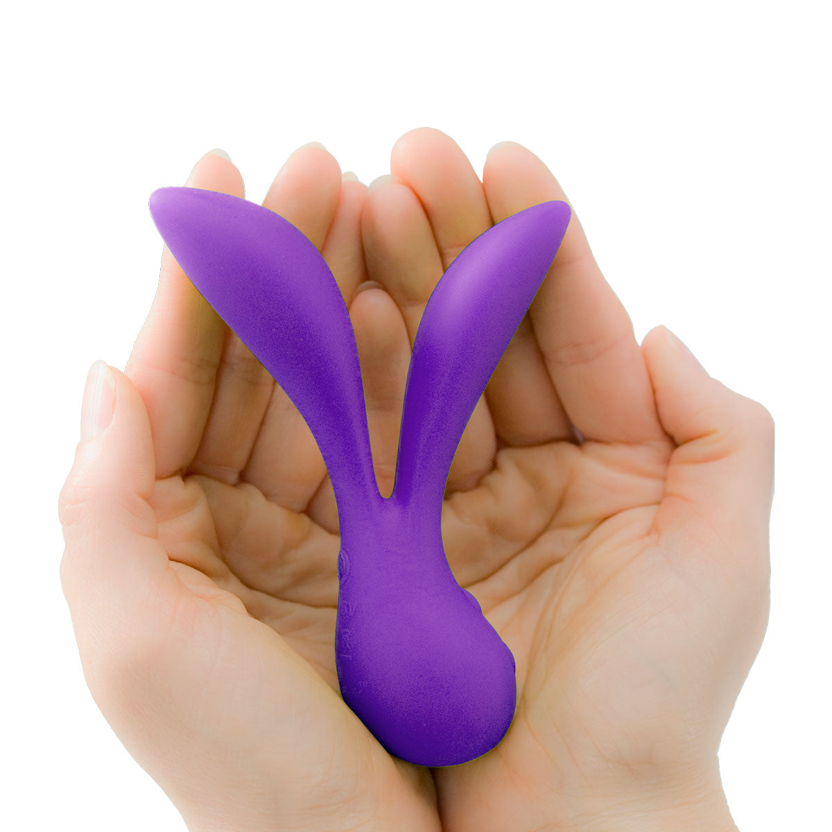 La baguette du cygne