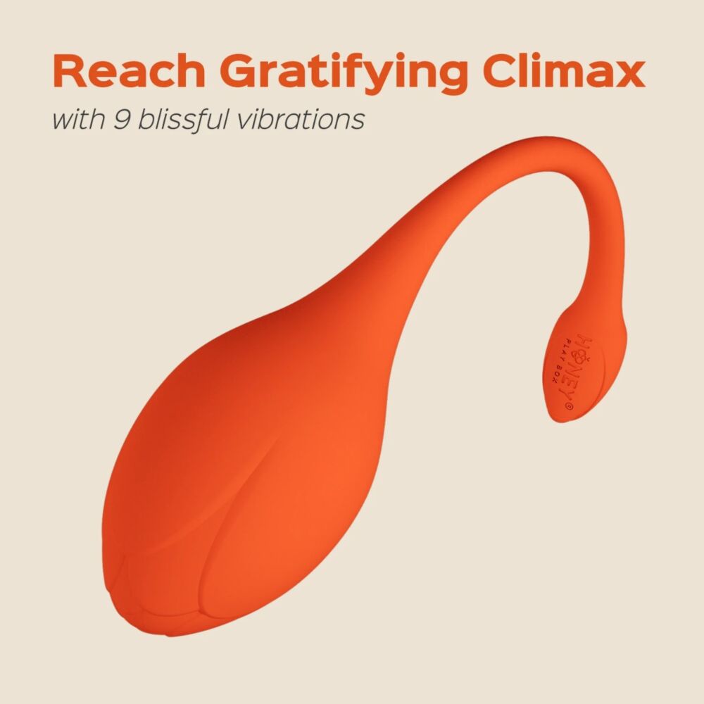 LILI APP控制跳蛋器