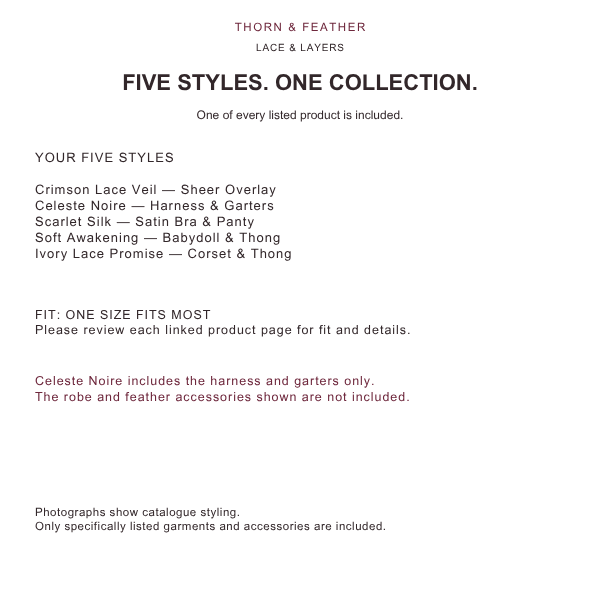 Thorn & Feather Lace & Layers Lingerie 5-Style Bundle — contents and fit information