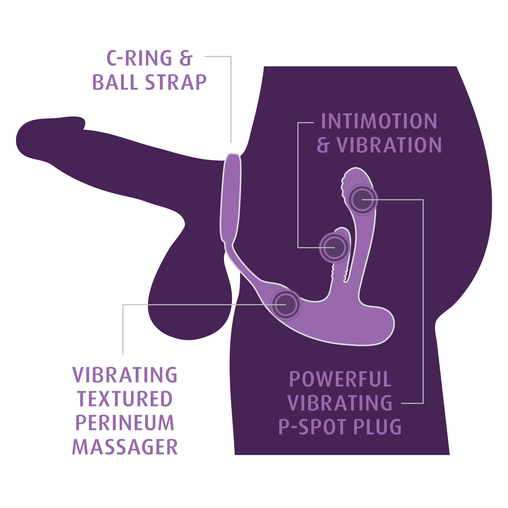 Anal Fantasy Elite Ass-Gasm intiMotion