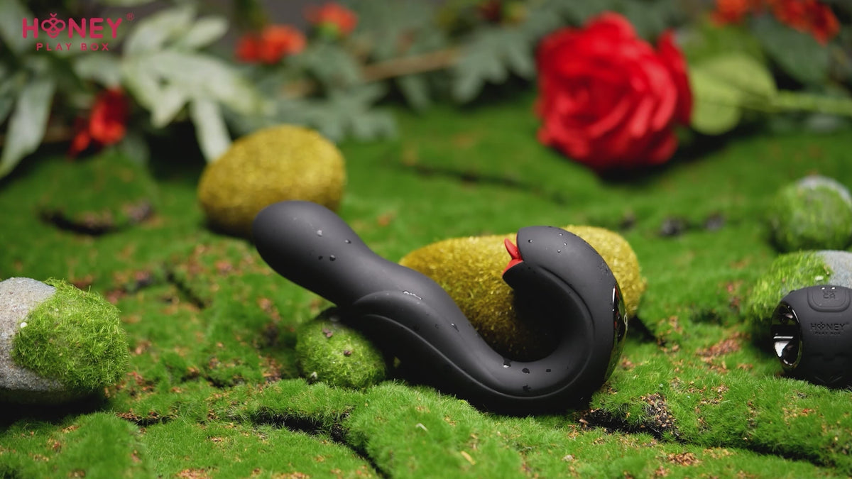 Vibromasseur point G à tête rotative Joi et lécheur de clitoris 