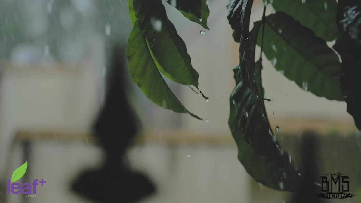 The Leaf+ Spirit Vibrator with Remote Control