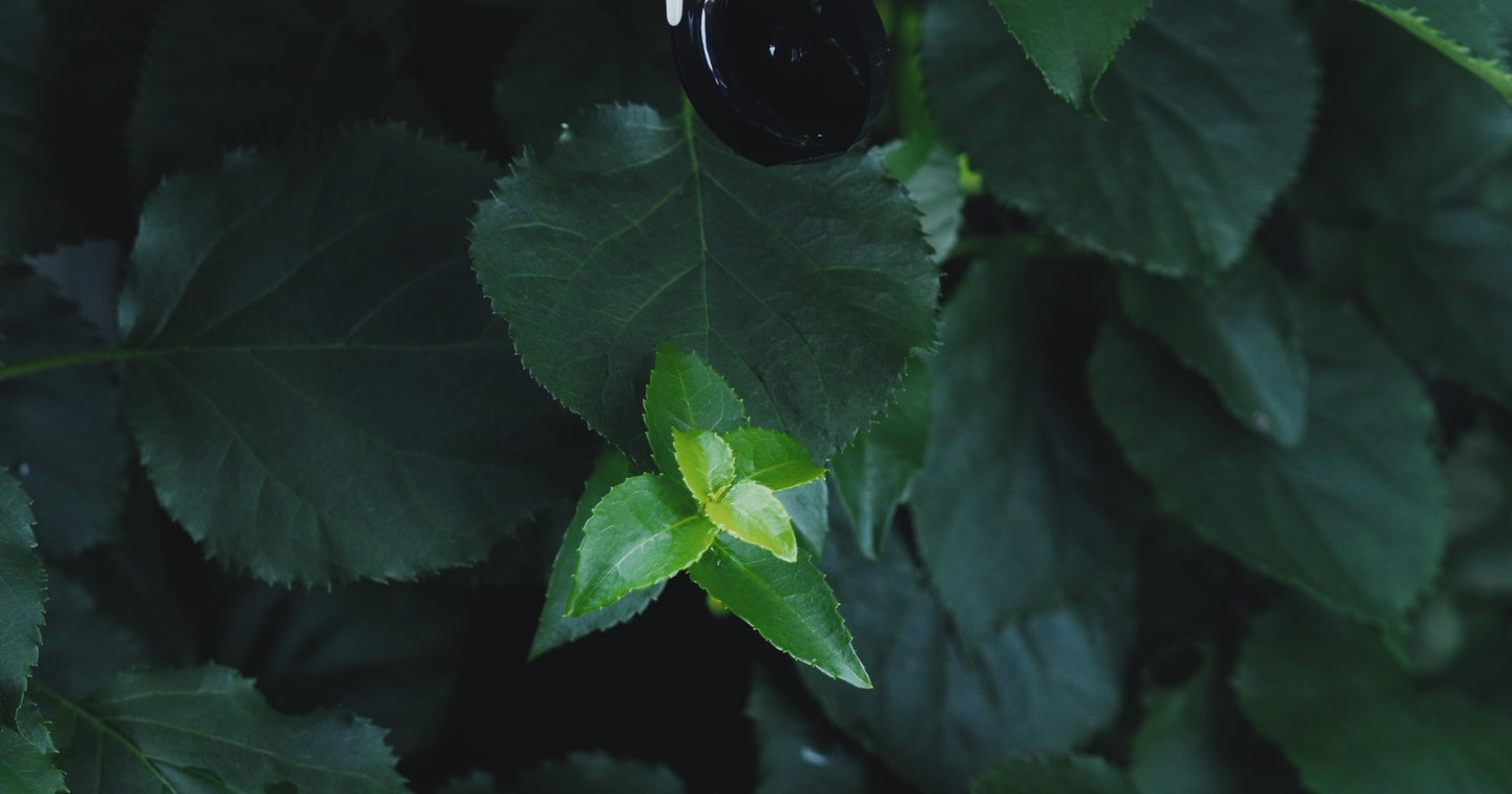 Fake Sperm Lubricant