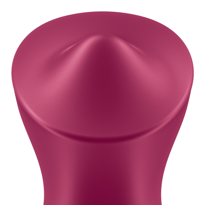 Vibromasseur à allonger Satisfyer Layons Purple Pleasure 