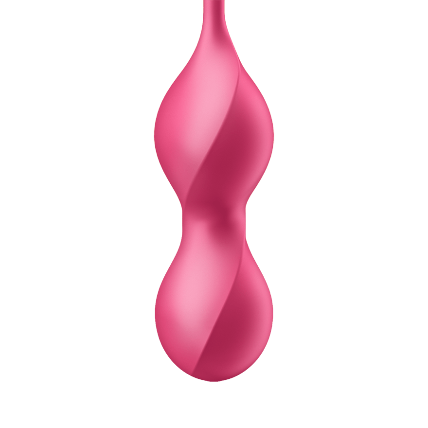 Vibromasseur Satisfyer Love Birds 2 Connect App