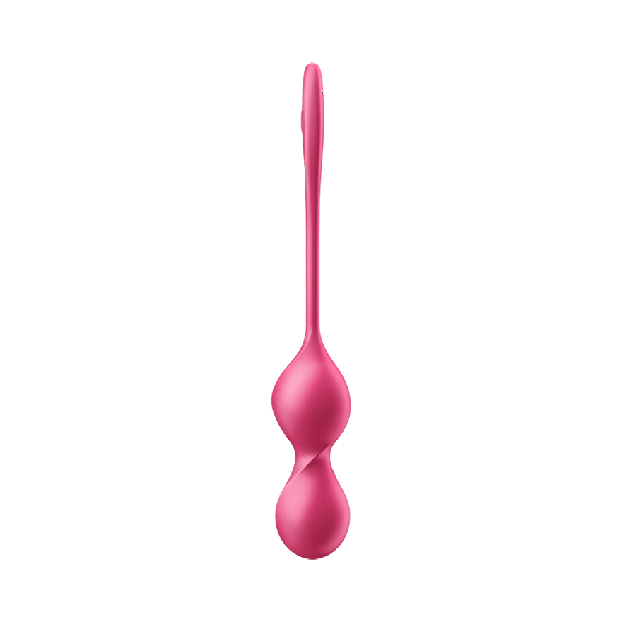 Vibromasseur Satisfyer Love Birds 2 Connect App