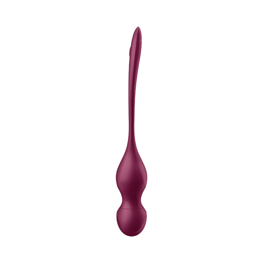 Vibromasseur Satisfyer Love Birds 2 Connect App