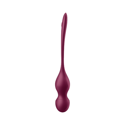 Vibromasseur Satisfyer Love Birds 2 Connect App