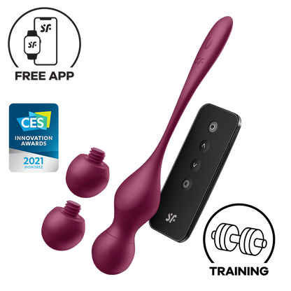 Vibromasseur Satisfyer Love Birds 2 Connect App