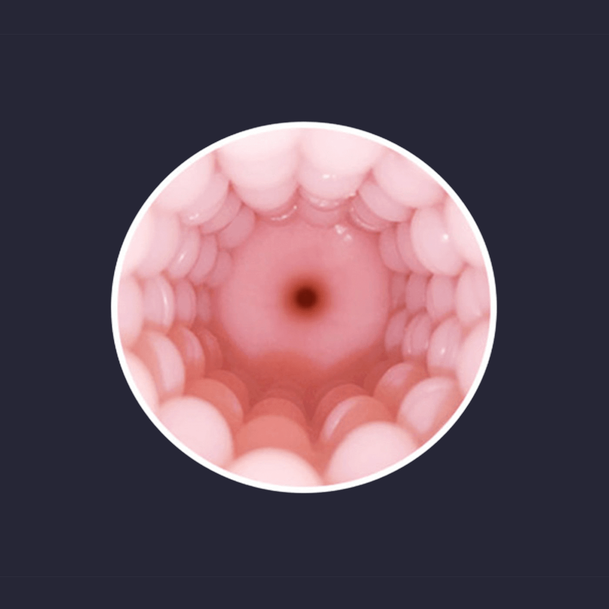 Lovense Max 2 Vagina Shaped Sleeve - Flesh - Thorn & Feather