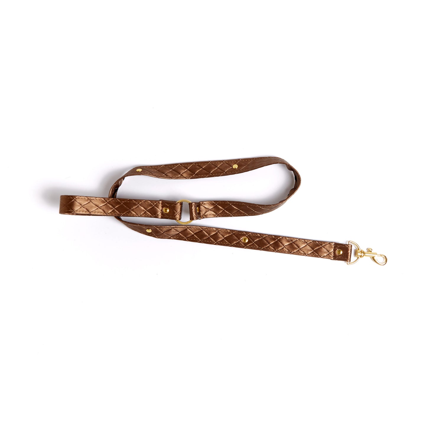 X-Play Darling Pet Collar with Leash - Thorn & Feather
