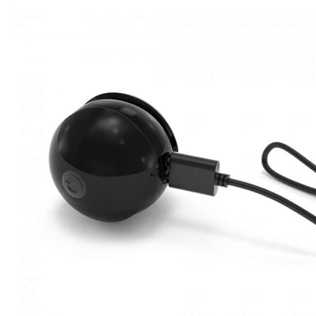 Remote Controlled Kegel Training Balls - Thorn & Feather