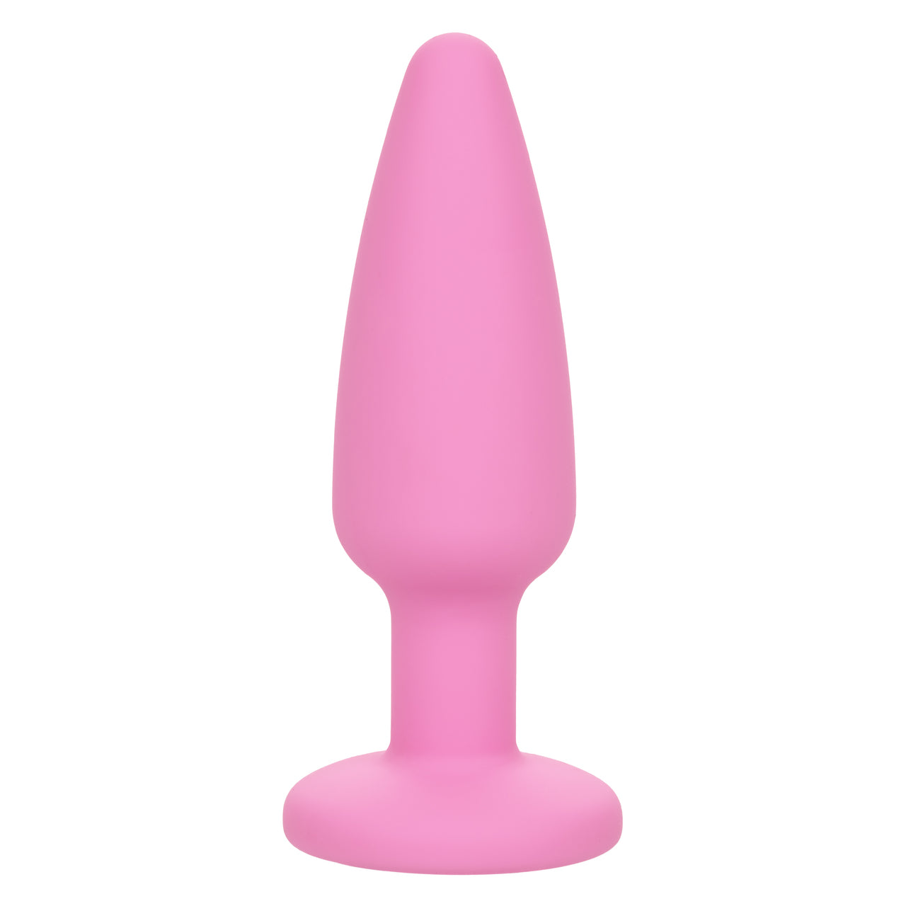 First Time Crystal Booty Kit - Pink - Thorn & Feather Sex Toy Canada
