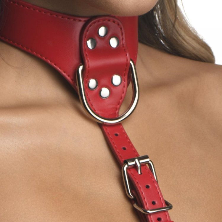 Strict Red Female Chest Harness - M/L - Thorn & Feather