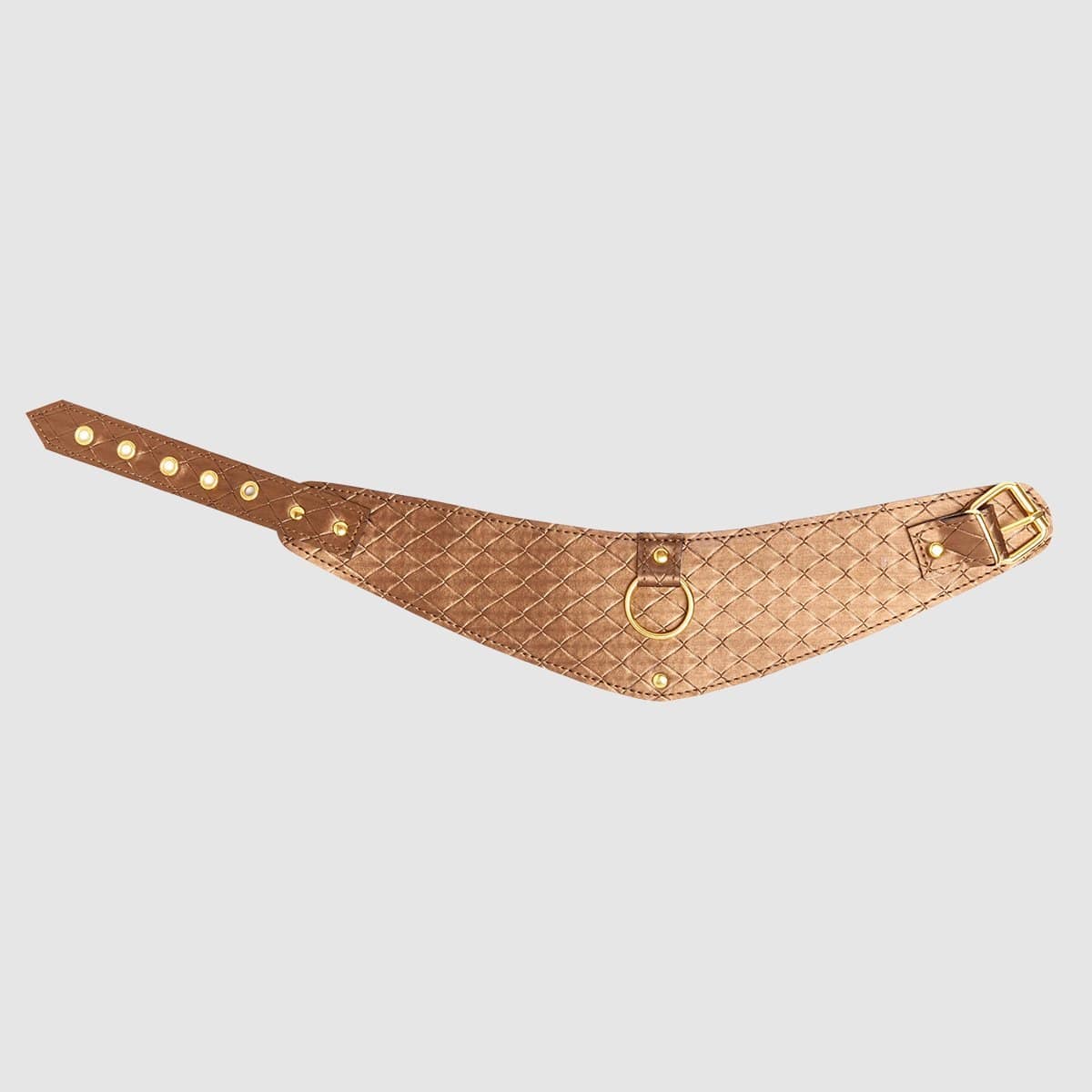 Look At Me Posture Collar - Thorn & Feather