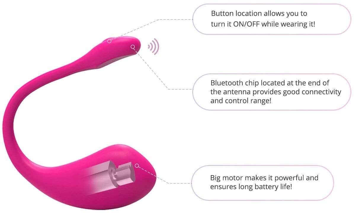 Lovense Lush 2 Bluetooth Wearable Vibrator - Pink - Thorn & Feather