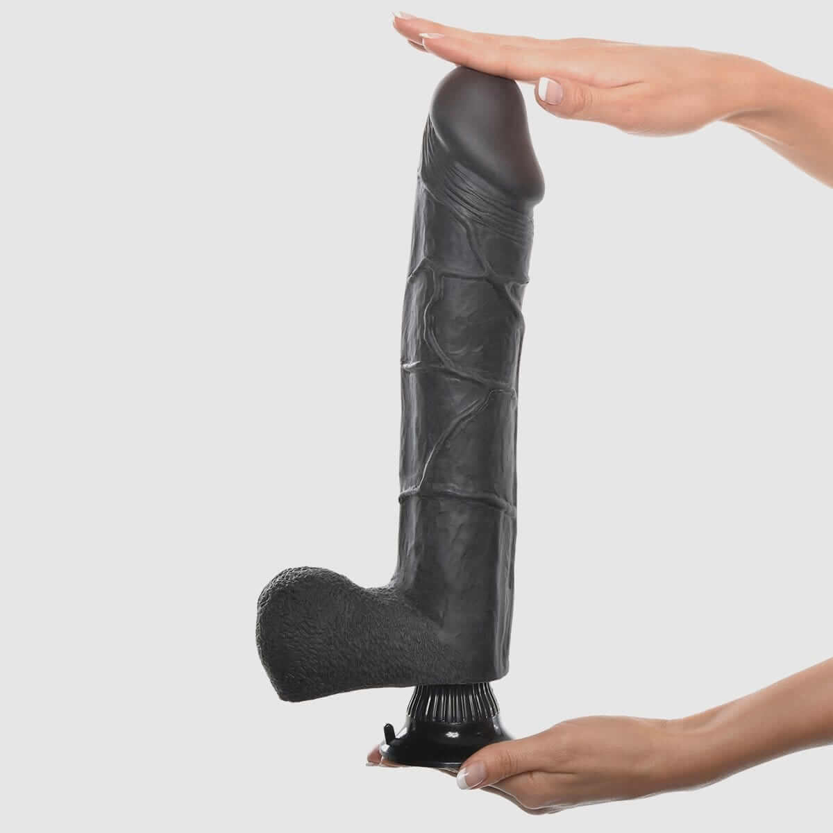 Real Feel Deluxe No.12 - 12" Black Dildo - Thorn & Feather
